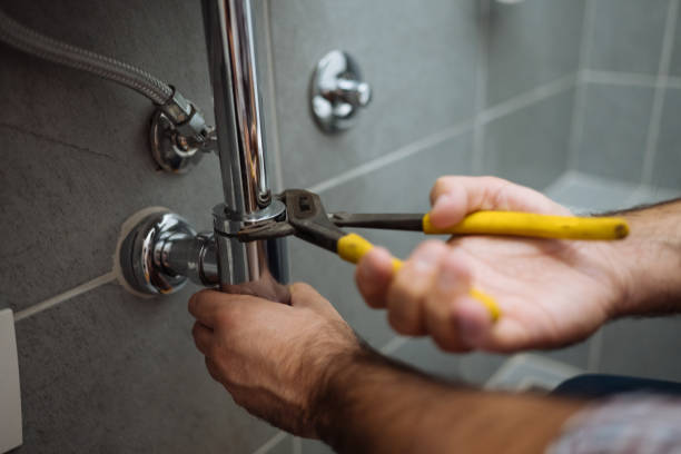 Best Leak Detection Services  in Fowler, MI