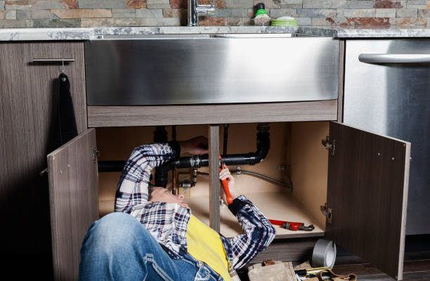 Best Affordable Plumbing Services  in Fowler, MI